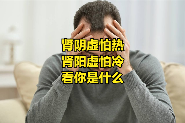 肾阴虚怕热，肾阳虚怕冷，看你是什么