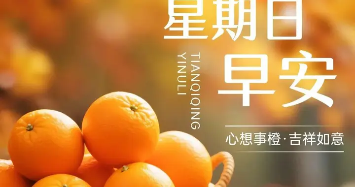 秋声渐远，冬意初盈，早安，人生百味，随遇，随喜，随安