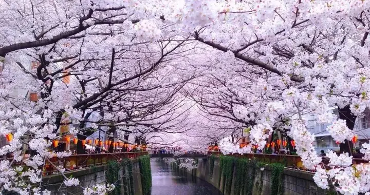 快速“拿下女人”不在于手腕，而在于布展与战略