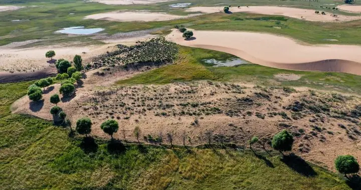 4万平方公里沙地消失！中国黑科技硬核治沙，百姓受益超级大