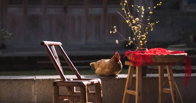 "春节冷不冷，就看十月初五",今日十月初五，2026春节很冷？