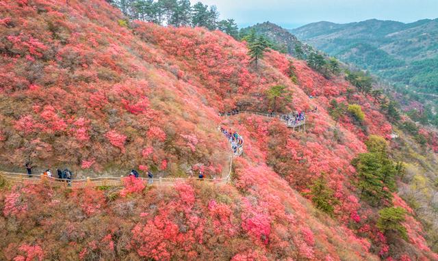 清明木兰游·3天2晚线路攻略：漫游木兰秘境，醉享大美春光