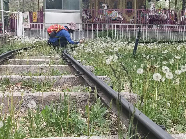 女性单身的四大好处