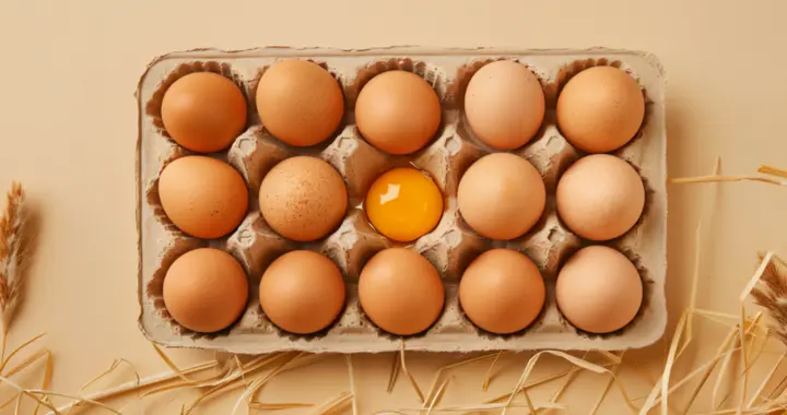 62岁大妈一口鸡蛋死亡，医生提醒：不要水洗鸡蛋！风险承担不起