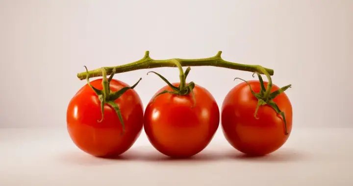 番茄红素守护前列腺，降低男性生殖风险！营养食物中来，安全可靠