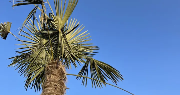 光大银行持仓血亏6.2元进场如今快破5.2三季报爆雷才是下跌元凶？