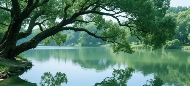 乳腺癌，影响复发的因素有哪些？如何早期发觉复发迹象？