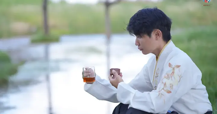 新茶、中期茶、老茶哪个最具性价比？哪个更适合你？