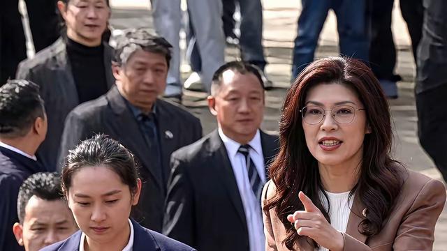 兵武推演：郑丽文身高178，容颜不老，气