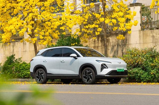 10万预算选家庭用车，大空间长续航的星光S，成亲子出游最优选？