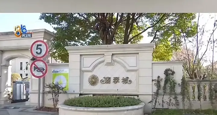 “抄近路撞道闸，网友：要是撞坏了道闸，小仙女还能不赔？”