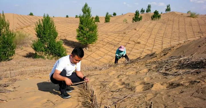 西方媒体：中国不可怕，可怕的是中国已成首个能消灭沙漠的国家