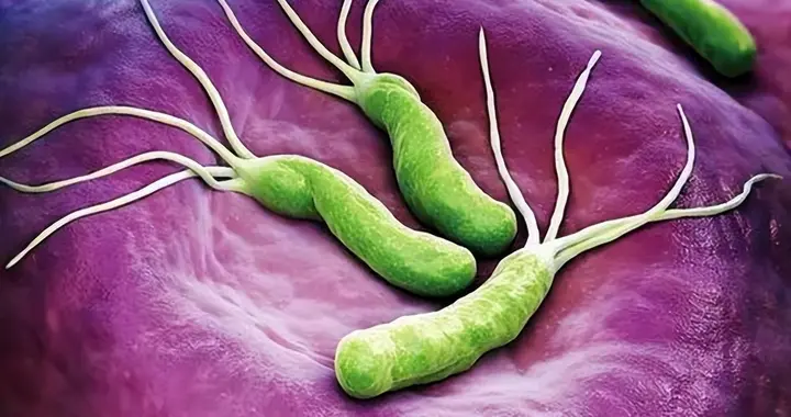 一人感染，全家遭殃？预防幽门螺旋杆菌，出现6类症状快就医