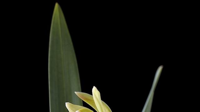 廪子：：和尚河上划船；请君对下联