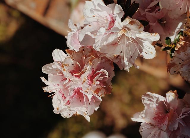 异性相处：永远不要让对方觉得你很爱他