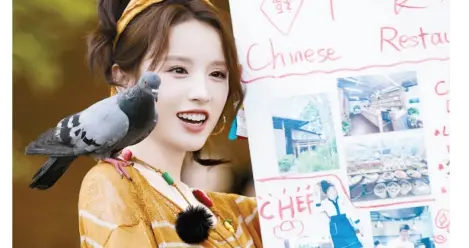 网络“理想人物”为何在综艺里“翻车”