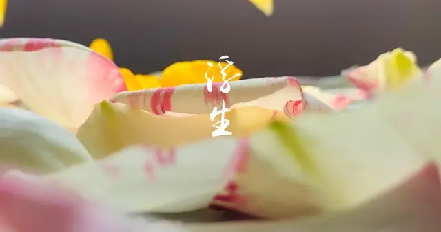 人这一生，随心随性，便是圆满