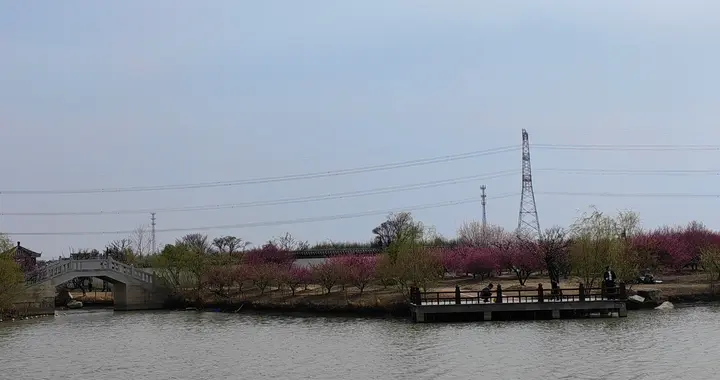 学制缩短问题没有列入“十五五”规划建议