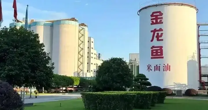 新加坡总理公开支持高市后，被罚18亿账单的金龙鱼，凉得更快了