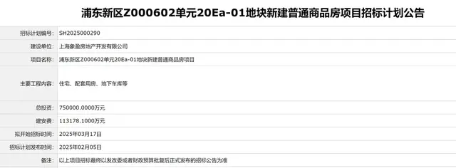 上海蛇年土拍大戏：有房企筹资119亿猛砸浦东嘉定