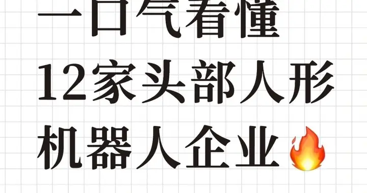一口气看懂12家头部人形机器人企业