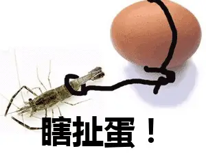 曝哈登追梦暂缓签约