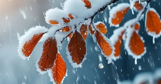 一夜之间，秋去冬来：在寒冷中学会照顾自己