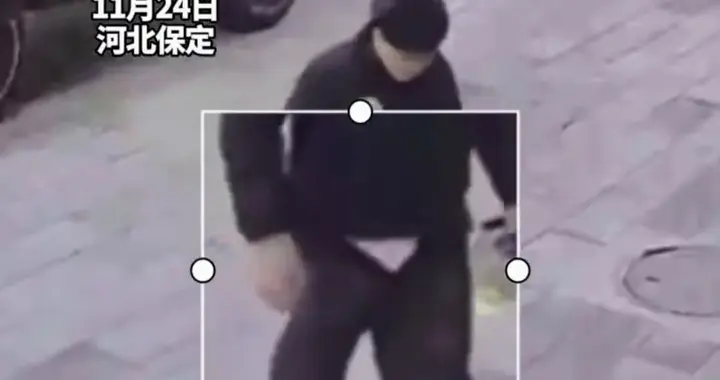 4万现金被大风刮飞，街头一幕让人破防：原来善良从不是稀缺品！