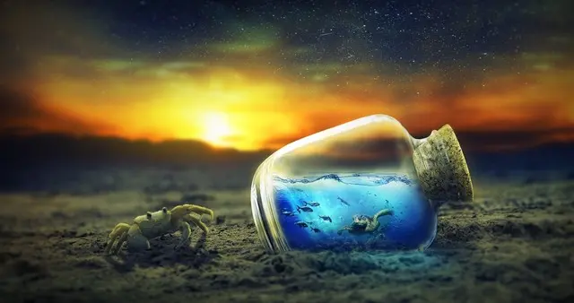 变得越来越迷人的星座