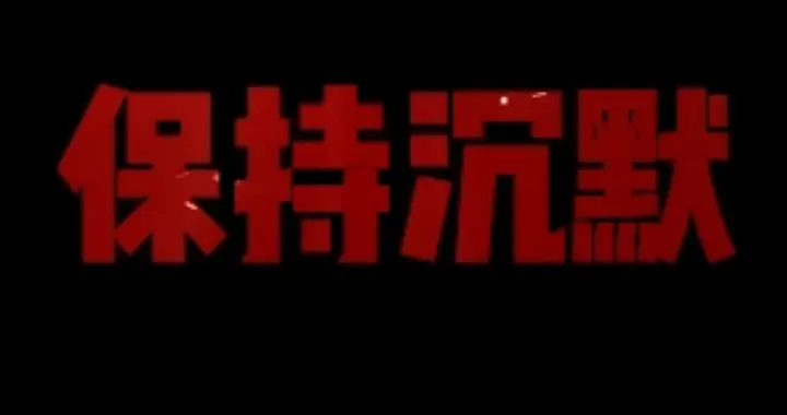 宋清辉：感谢沉默者！那些喊杀喊打之声最大的人，也是支持我的人