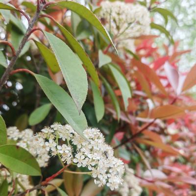 用户kl天边的云：闲来无事，走进大自然