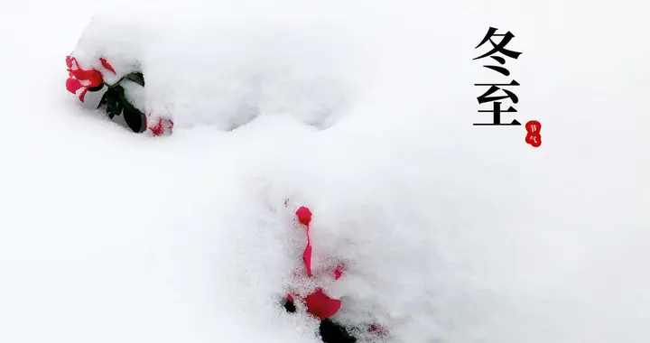 散文随笔||冬至安康 岁月沉香