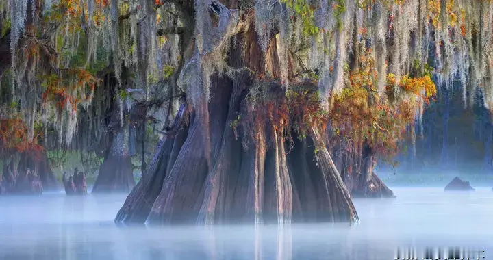 星座日运：12月5日 超级满月的影响
