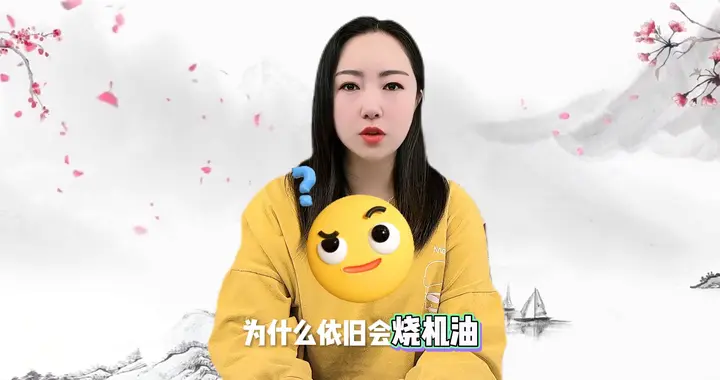 德系、法系车容易烧机油？根源一次性讲透
