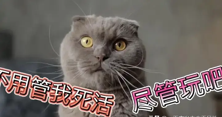 收到他的决绝信，刘秀大哭说：他可以假装屈从叛贼，我好救他啊！