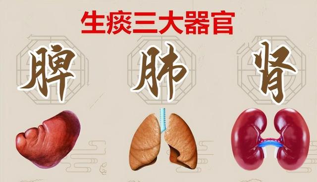 “天精、地精、人精”三者合一，脾肾肺统调，通补三焦