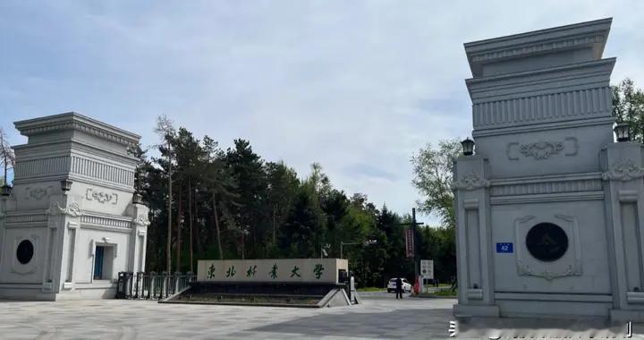 东北林业大学2025年本科批B段录取分数