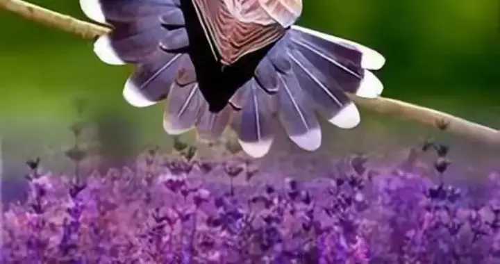 成年人的世界， 像一场马拉松