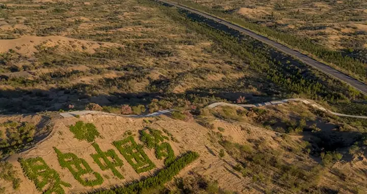 七星映沙，绿魂泣海 —— 库布其沙漠里的北斗秘境