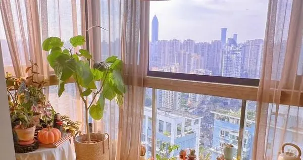 浙江一女子把4㎡阳台改成了茶室,那叫一个好看,真的太有禅意