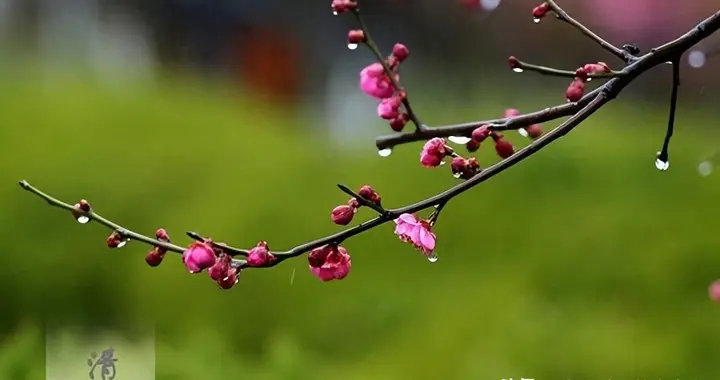 清明节啊，烧纸钱的事儿，以后还有人记得吗？