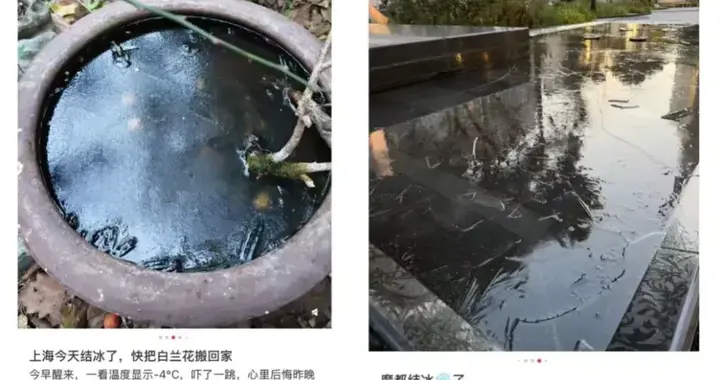 上海一女子元旦当日跳河轻生，幸好他出现了，孩子才没有失去妈妈