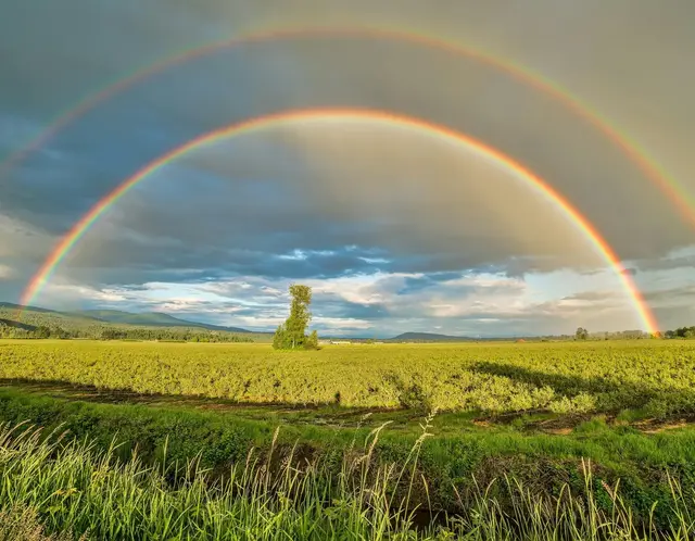 告诉你个秘密：心情好了，干活就不累，心态越好，做事越顺利