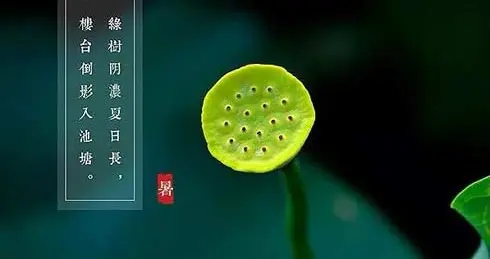 三伏天如何顺势养生