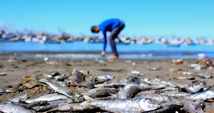 科学家警告：厄尔尼诺现象很快就会变得致命，前所未有转折点