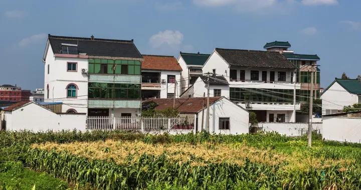 东莞拟出新规：自愿退出农村宅基地，可获经济补偿，农户怎么办？