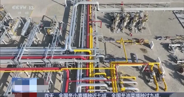 3分钟带你了解11月12日9点20分前国内最新消息！