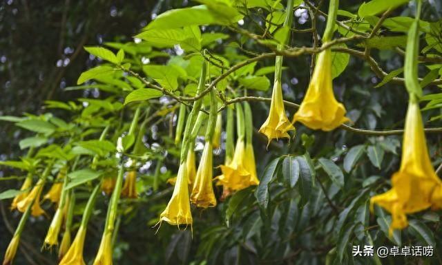 两性关系：82岁女人的真实感悟