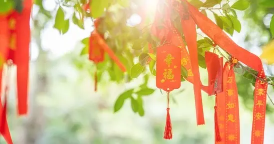 头条互动心情札记体验