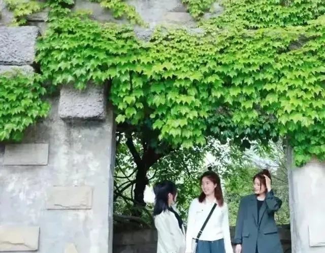 奉贤一日 古韵四季